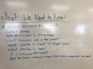 Period 3 - Know