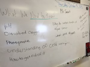 Period 5 - Need To Know