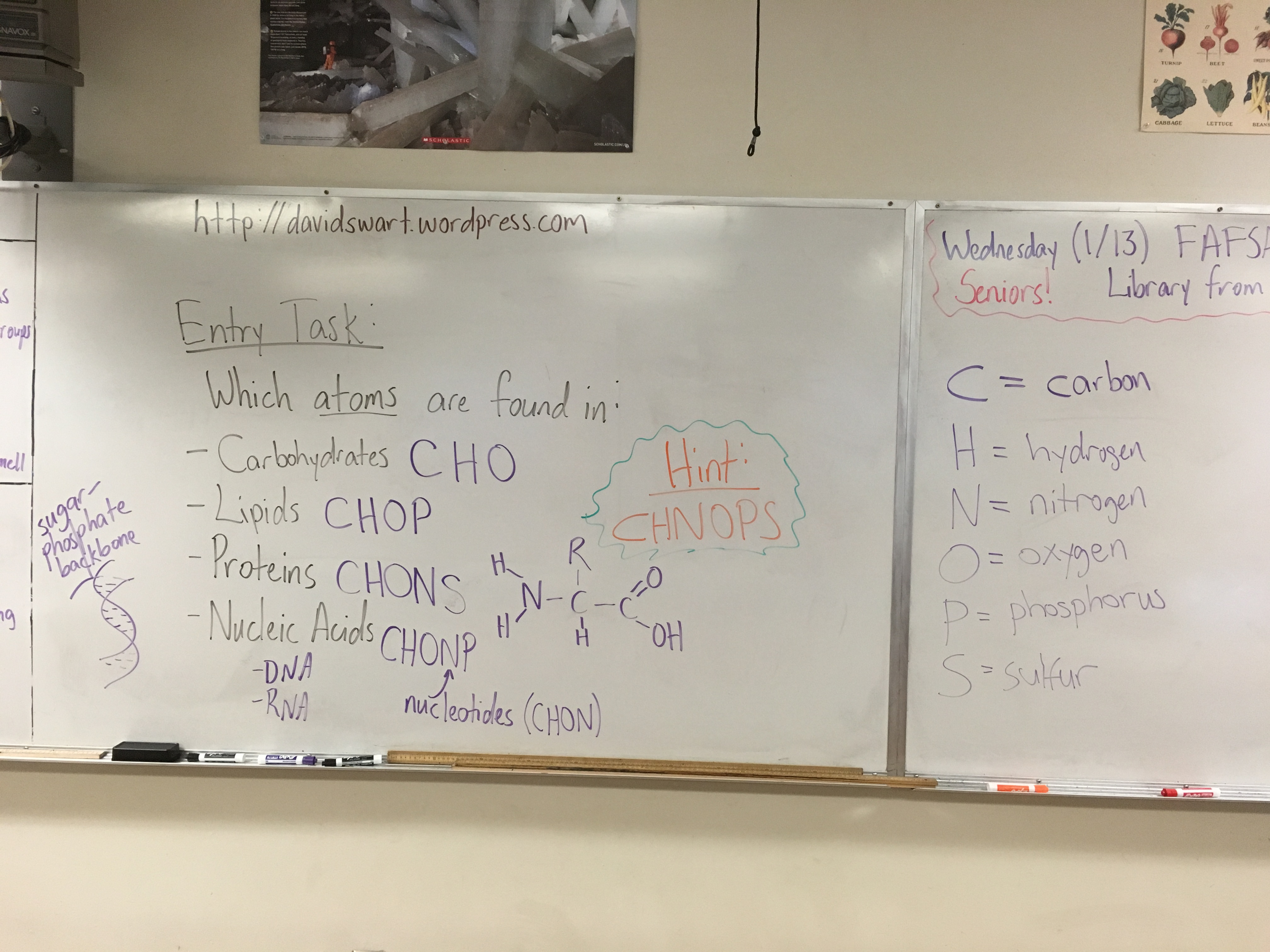 Carbon Cycle Gizmo Worksheet Answers Carbon Cycle Gizmo Worksheet Answers, image size:4032x3024