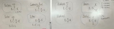 Functional Groups