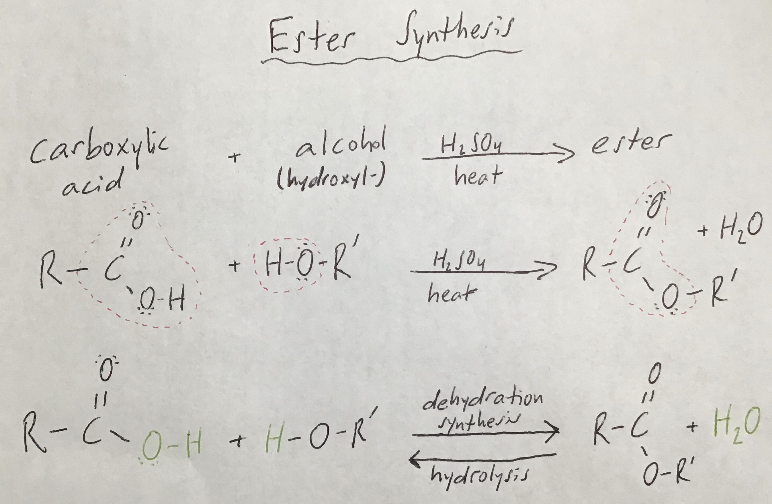 Analyzing Ester Synthesis | Science with Swart