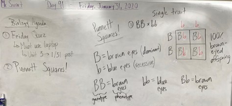 200131 Biology Pic 1