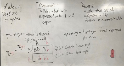 200131 Biology Pic 2