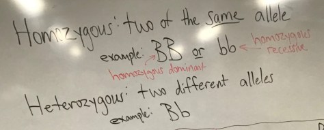 200131 Biology Pic 3