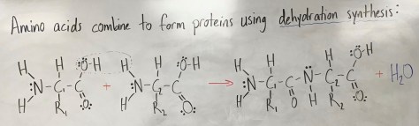Unit 2 Review Picture 2