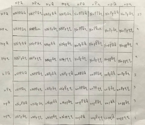 Trihybrid Cross Example 2