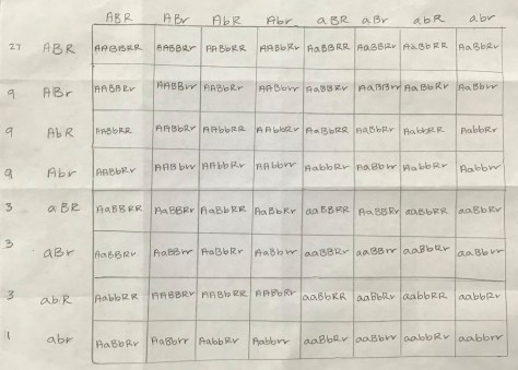 Trihybrid Cross Example 3