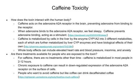 Toxin Research Project - Slide 2 Example